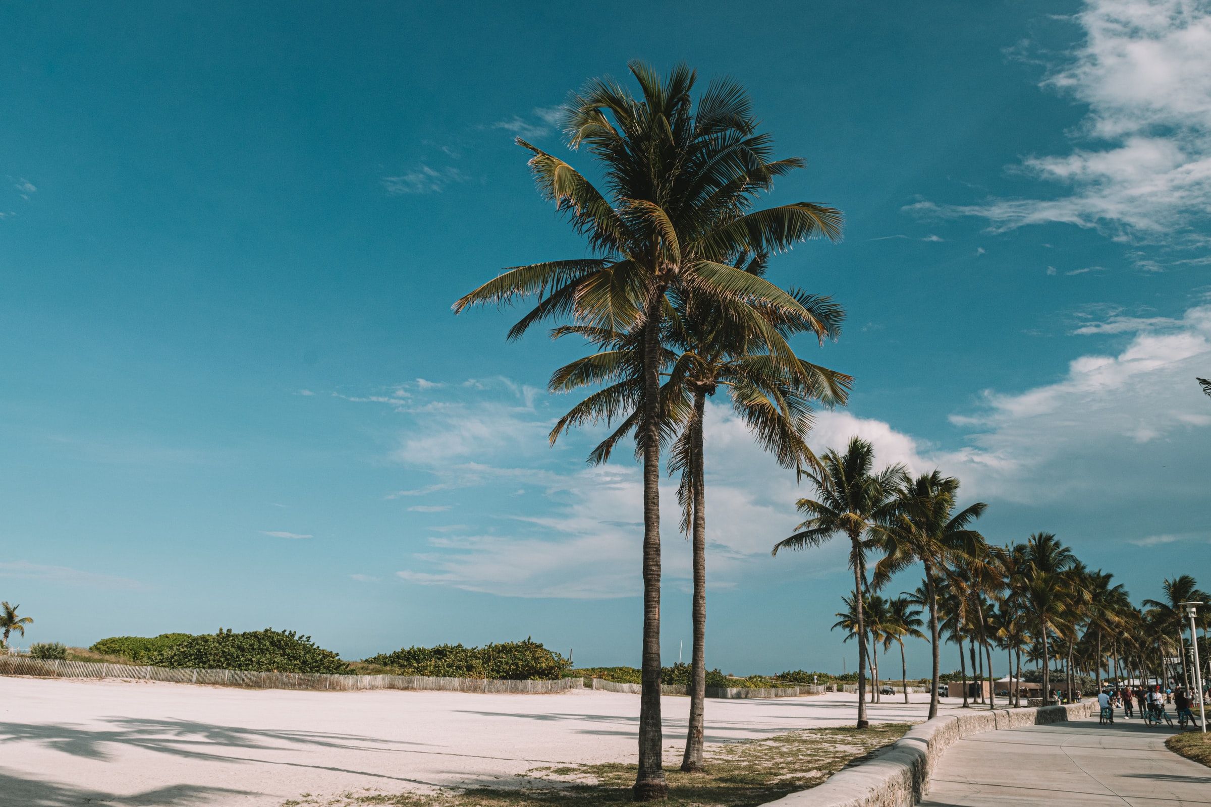 A Journey into Creole Culture and Sainted Harbours